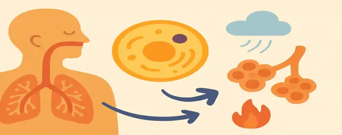 AI-generated educational cover illustration for Respiration: Breathing, Energy and Gas Exchange