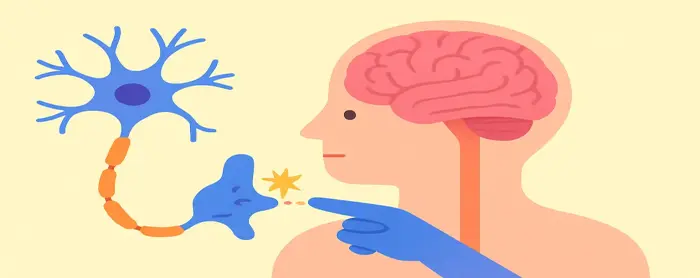 AI-generated educational cover illustration for Neuron Network: Brain, Spinal Cord and Impulses